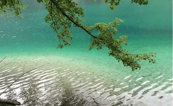 转 指数企稳反弹任会反复!_名家频道_同花顺财