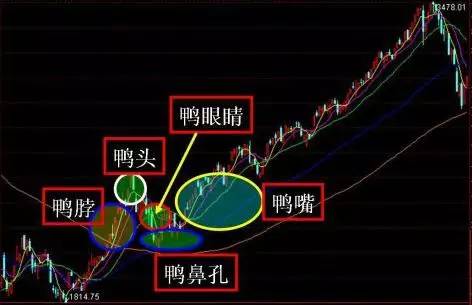 散户必看:一位短线天才坚持用"老鸭头"战法 在股市如鱼得水!